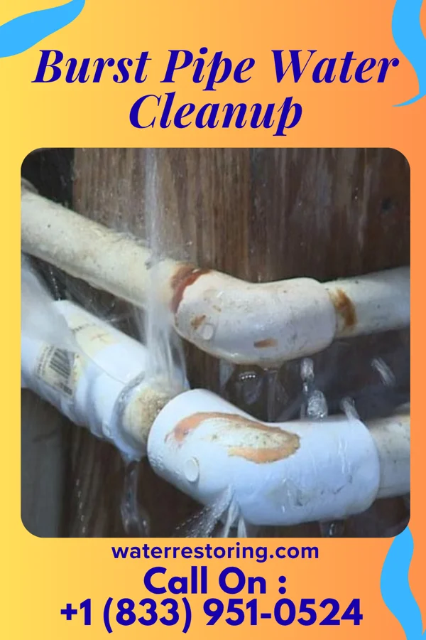 Burst Pipe Water Cleanup in Ivyland, PA