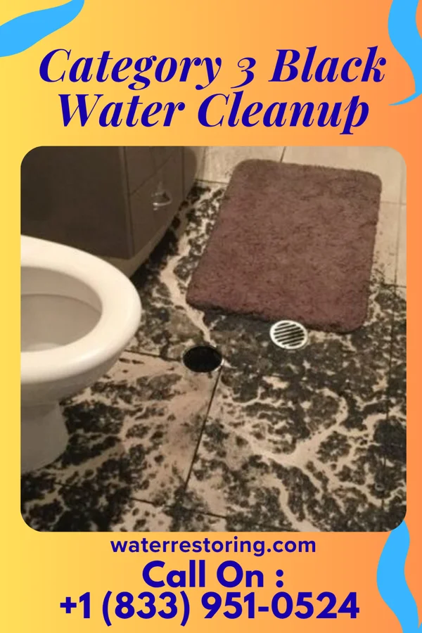 Category 3 Black Water Cleanup in Ivyland, PA