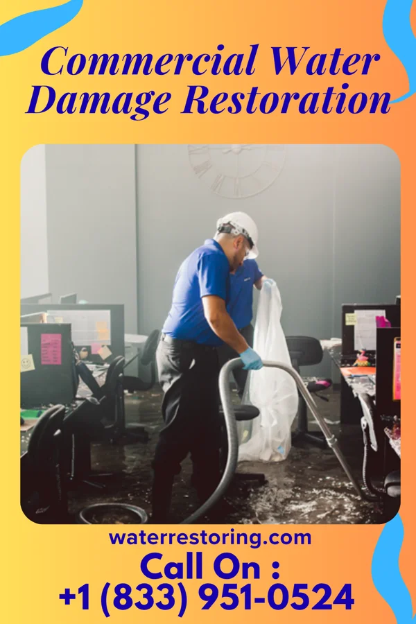 Commercial Water Damage Restoration in Ivyland, PA