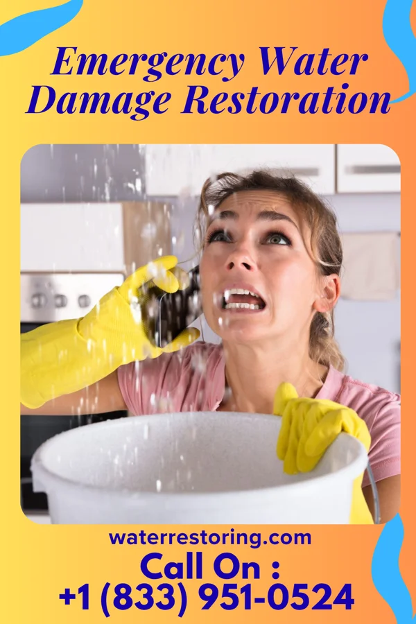 Emergency Water Damage Restoration in Ivyland, PA