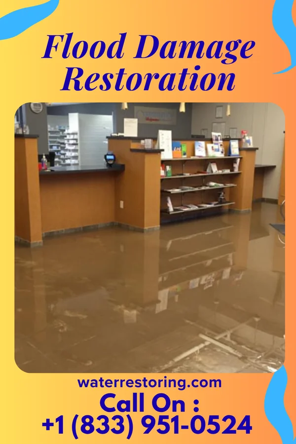 Flood Damage Restoration in Ivyland, PA