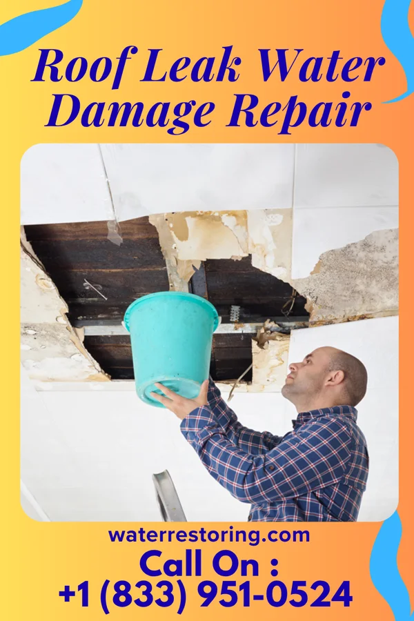 Roof Leak Water Damage Repair in Ivyland, PA