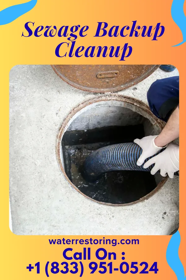 Sewage Backup Cleanup in Ivyland, PA